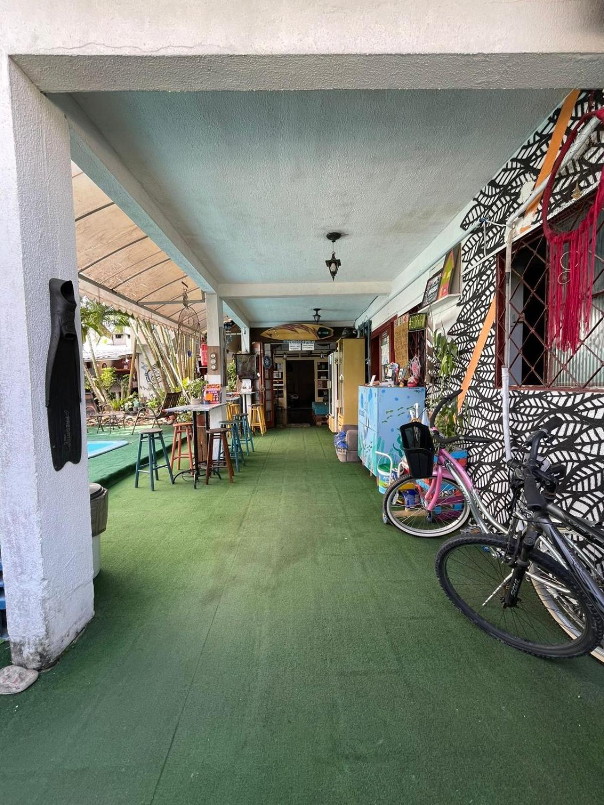 Oceanic Hostel Balneário Camboriú エクステリア 写真